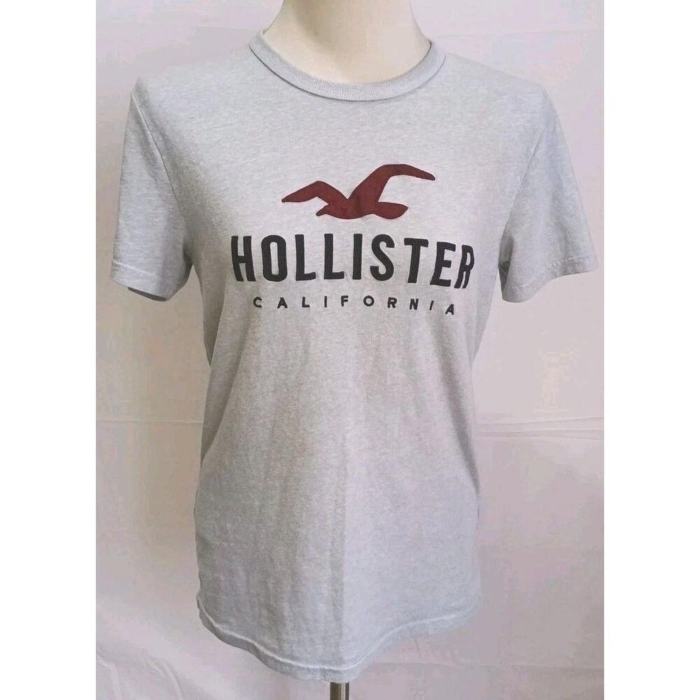 Hollister California Logo T-Shirt Men’s Medium Blue